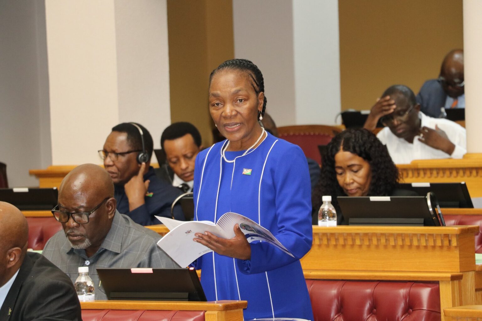 2026/2027 National Budget Allocation
